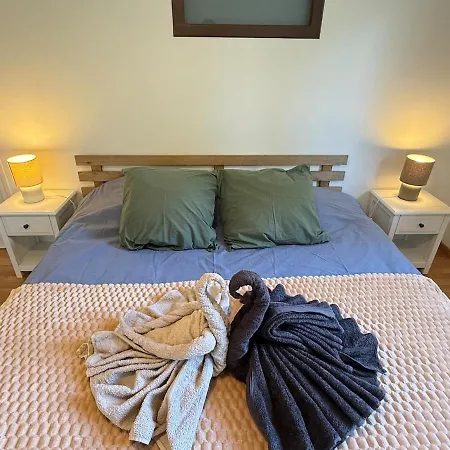 Διαμέρισμα Duplex 15 Pers-proche Grands Cols-garage Saint-Martin-de-la-Porte